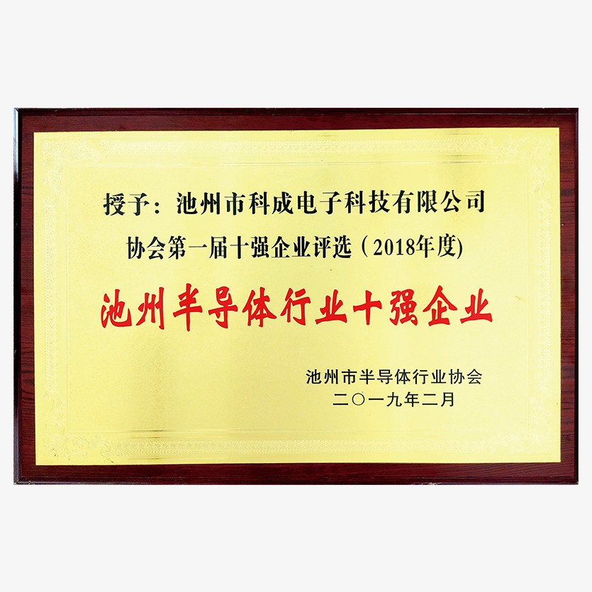 池州半导体行业十强企业